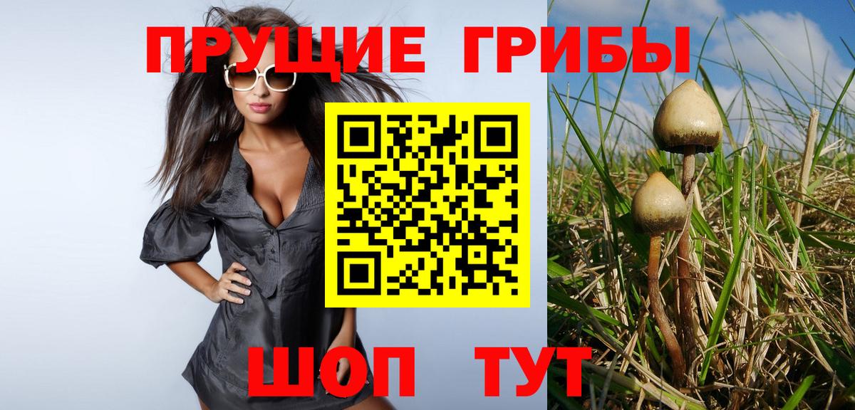 Владивосток  где продают наркотики  Вход с VPN  Псилоцибиновые грибы Magic Shrooms 